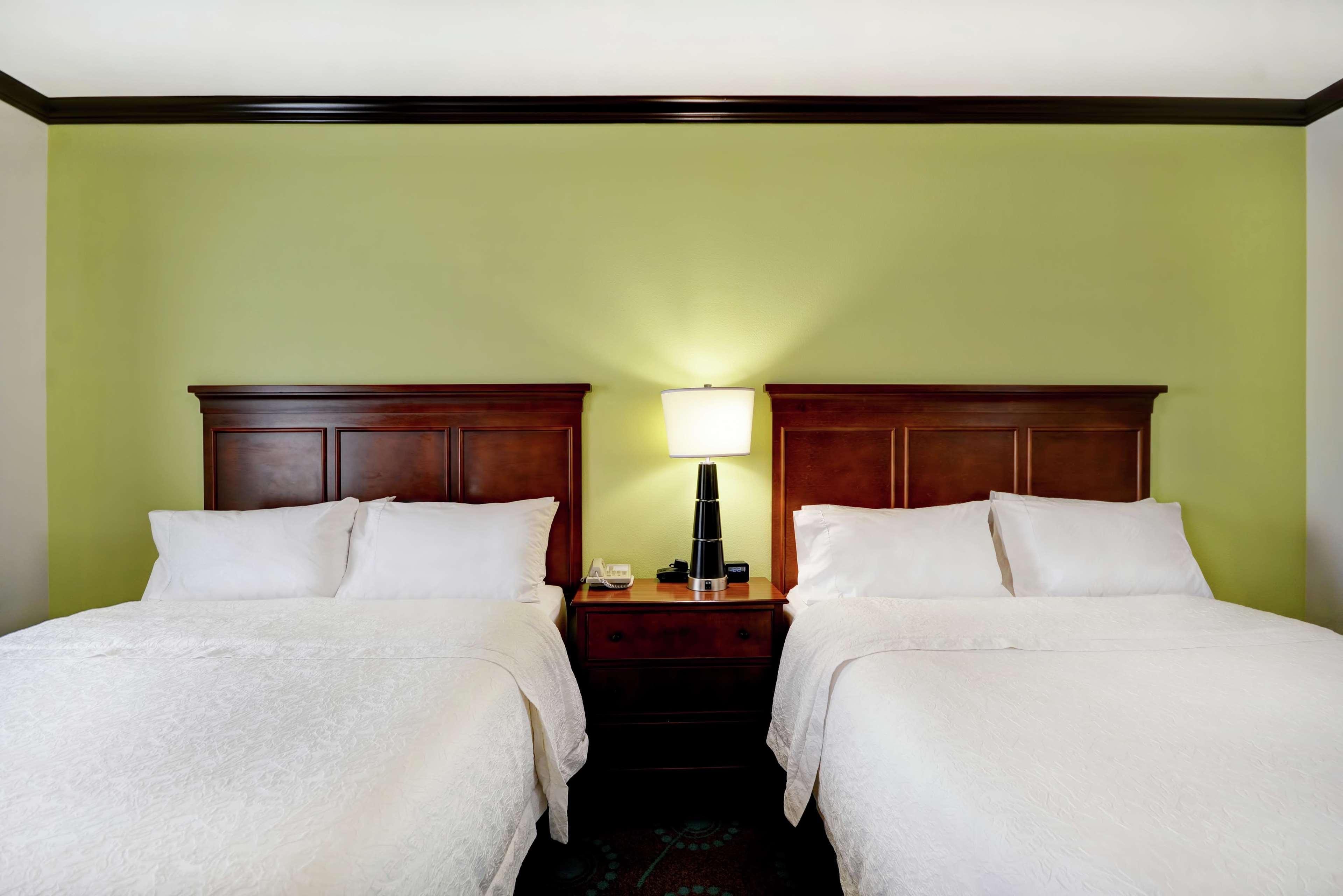 Hampton Inn & Suites San Antonio/Northeast I-35 Bagian luar foto